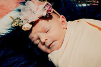 Phelps Newborn